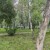 Продам однокомнатную (1-комн.) квартиру, Ямашева пр-кт, 74, Казань г
