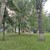 Продам однокомнатную (1-комн.) квартиру, Ямашева пр-кт, 74, Казань г