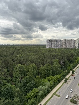 Продам трехкомнатную (3-комн.) квартиру, Сосновая ул, 1к3, Котельники г