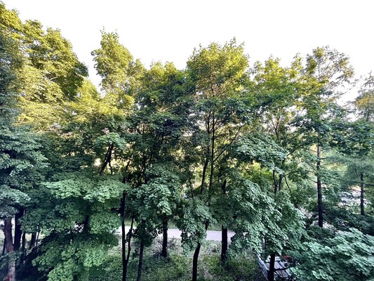 Продам однокомнатную (1-комн.) квартиру, Черницынский проезд, 6к1, Москва г