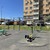 Продам однокомнатную (1-комн.) квартиру, Дружбы (Зенино ЖК Самолёт мкр.) ул, 11к26, Люберцы г