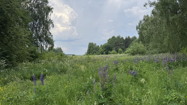 Продам дом, Пестово п, 0 км от города