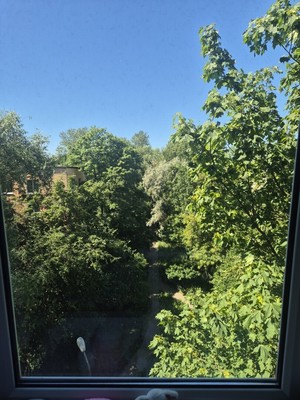 Продам однокомнатную (1-комн.) квартиру, Дачный пр-кт, 16к6, Санкт-Петербург г