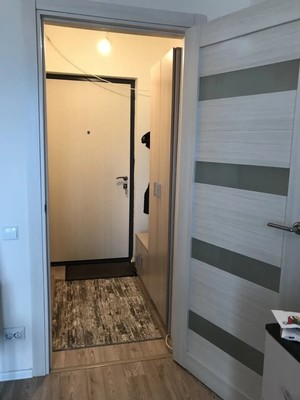 Продам однокомнатную (1-комн.) квартиру, Муринская дор, 12к2, Санкт-Петербург г