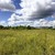 Продам землю для коммерческого использования 98,93 соток, Сафоново д