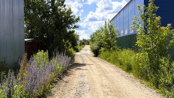 Продам землю для коммерческого использования 98,93 соток, Сафоново д