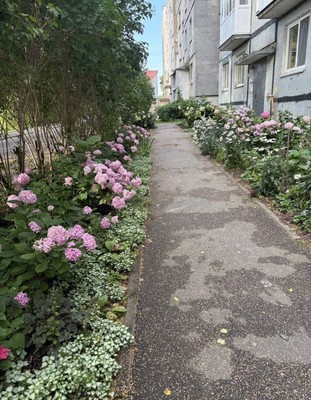 Продам двухкомнатную (2-комн.) квартиру, Подполковника Емельянова ул, 252, Калининград г