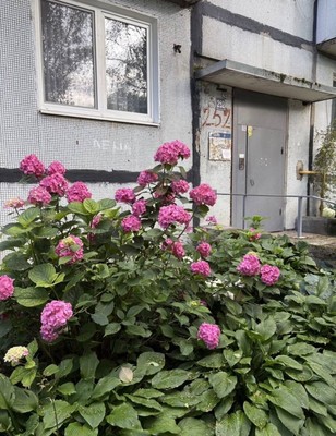 Продам двухкомнатную (2-комн.) квартиру, Подполковника Емельянова ул, 252, Калининград г