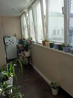 Продам двухкомнатную (2-комн.) квартиру, Новая ул, 11а, Знаменский п