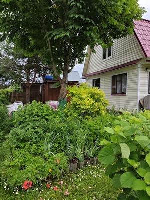Продам дачу, Ваулово тер. СНТ, 5, Ваулово д, 0 км от города