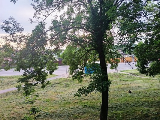 Продам двухкомнатную (2-комн.) квартиру, Центральная ул, 1, Аннино п