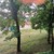 Продам двухкомнатную (2-комн.) квартиру, Центральная ул, 1, Аннино п