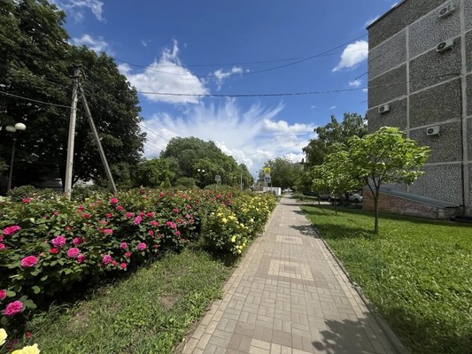 Продам однокомнатную (1-комн.) квартиру, Дружбы ул, 2, Парковый п