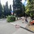 Сдам коммерческое помещение 87 м2, Московская ул, 25, Ялта г