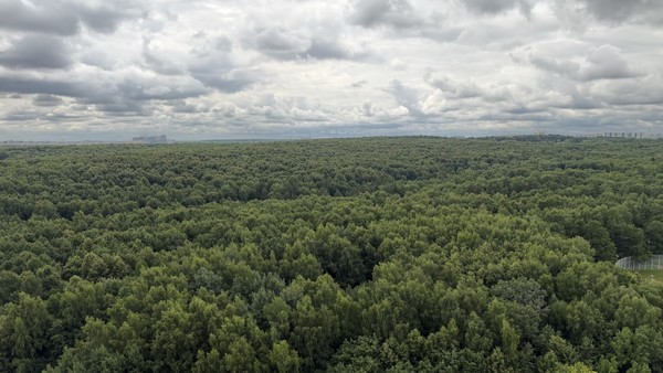 Продам однокомнатную (1-комн.) квартиру, Красного Маяка ул, 26А, Москва г