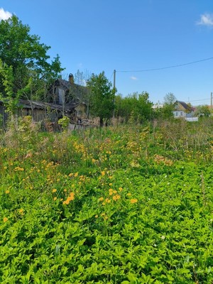 Продам дачу, Александровский пер, 1, Александровка д, 0 км от города
