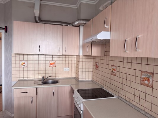 Продам однокомнатную (1-комн.) квартиру, Клубная ул, 55к1, Селятино рп