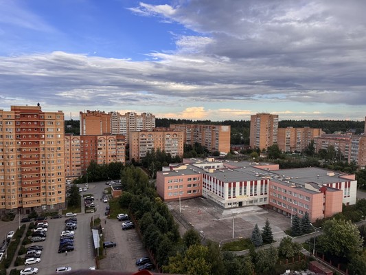 Продам однокомнатную (1-комн.) квартиру, Клубная ул, 55к1, Селятино рп