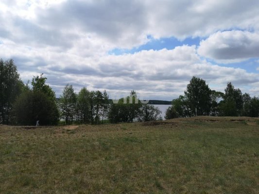 Продам участок 1 600 соток, Фермерское хоз., Павловская ул, Заборовье д, 0 км от города