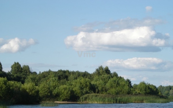 Продам участок 1 600 соток, Фермерское хоз., Павловская ул, Заборовье д, 0 км от города
