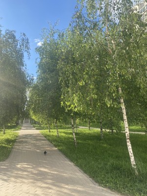 Продам многокомнатную квартиру, Александры Монаховой ул, 95к2, Коммунарка п