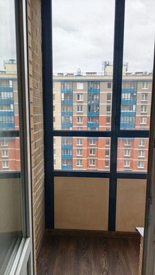 Продам однокомнатную (1-комн.) квартиру, Гладышевский пр-кт, 38к4, Санкт-Петербург г