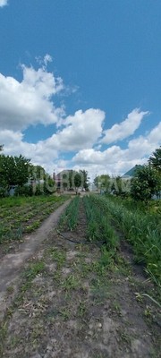 Продам дом, Дорожная ул, 46, Новоукраинское с, 0 км от города