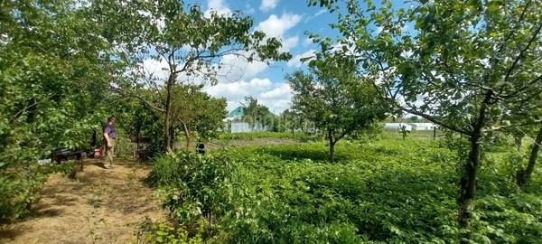 Продам дом, Дорожная ул, 46, Новоукраинское с, 0 км от города