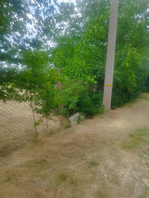 Продам участок 8 соток, Фермерское хоз., СТ СПК Здоровье массив 3 тер. СПК, Трудовое с, 0 км от города