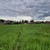 Продам дом, НП Ромашкино тер, 30, Раменское г, 0 км от города