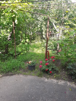 Продам дачу, Роз б-р, 37, Волгодонск г, 0 км от города