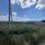 Продам участок 10 соток, ИЖС, Цветочная ул, Краснолесье с, 0 км от города