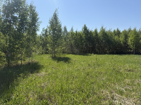 Продам участок 6 соток, ИЖС, Дачное тер, 0 км от города