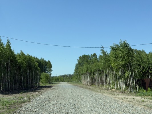 Продам участок 6 соток, ИЖС, Дачное тер, 0 км от города