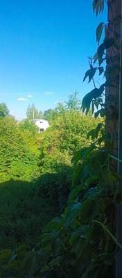 Продам дом, Центральная ул, 70, Свистягино д, 0 км от города