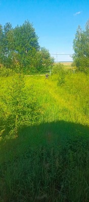 Продам дом, Центральная ул, 70, Свистягино д, 0 км от города