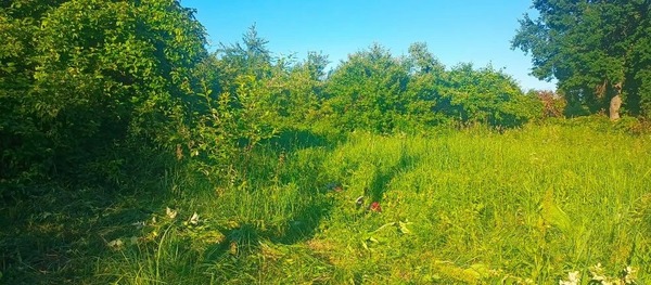 Продам дом, Центральная ул, 70, Свистягино д, 0 км от города