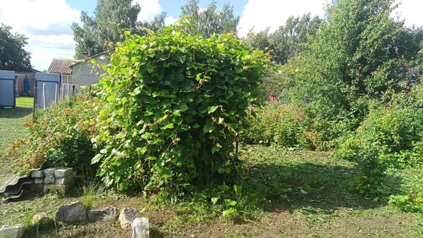 Продам дом, Кулики с, 0 км от города