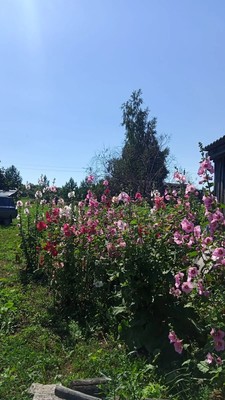 Продам дом, Кулики с, 0 км от города