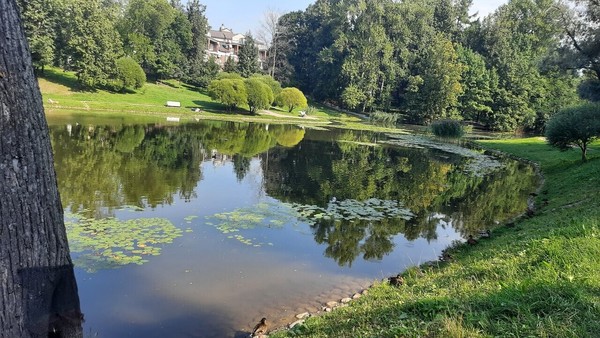 Сдам однокомнатную (1-комн.) квартиру, Хачатуряна ул, 2, Москва г
