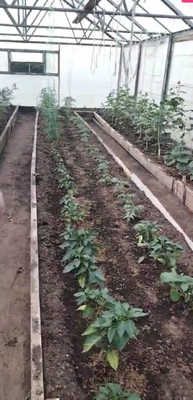 Продам дом, Зеленая (ДНП Гжельские просторы тер.) ул, 236, Раменское г, 0 км от города
