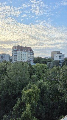 Продам двухкомнатную (2-комн.) квартиру, Пархоменко пр-кт, 33А, Санкт-Петербург г