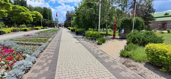 Продам дом, Чигиринская ул, 101, Каневская ст-ца, 0 км от города
