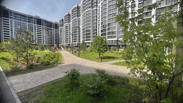 Продам однокомнатную (1-комн.) квартиру, Ручьевский пр-кт, 1/24, Мурино п
