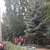Продам однокомнатную (1-комн.) квартиру, Сосновая аллея, 6, Королев г