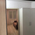 Сдам однокомнатную (1-комн.) квартиру, Вадима Шефнера ул, 12к1, Санкт-Петербург г