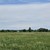 Продам дом, Светлая ул, 7, Тангачи д, 0 км от города