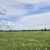 Продам дом, Светлая ул, 7, Тангачи д, 0 км от города