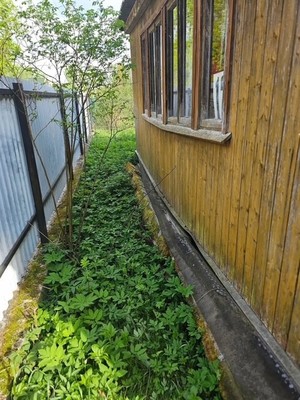 Продам дом, СНТ Елочка тер, 12, Дедовск г, 0 км от города