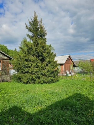 Продам дом, СНТ Елочка тер, 12, Дедовск г, 0 км от города